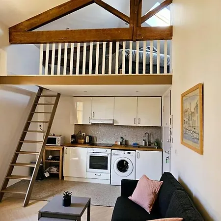 Le Virenque דירה ניס