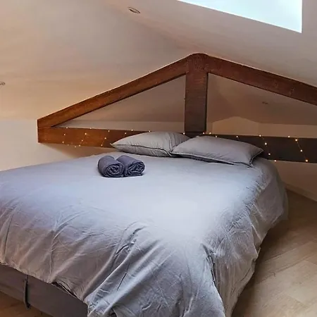 Le Virenque Appartamento Nizza